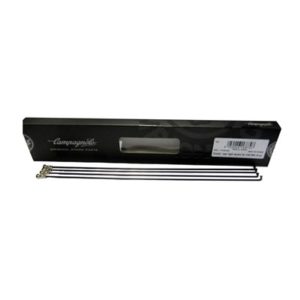 4 radios Campagnolo Calima trasero derecho