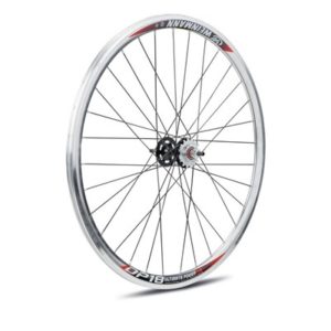 Rueda trasera Gurpil DP-18 contrapedal pulida