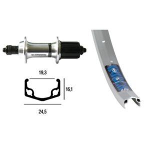 Rueda trasera 26x1.75 Winora Cyber 10 Shimano TX 800 36 agujeros QR 135 mm 8/10V.plata (559-19)
