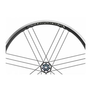 4 radios Campagnolo Zonda disco trasero izquierdo