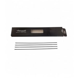 4 radios Campagnolo WTO 33 disco delantero derecho