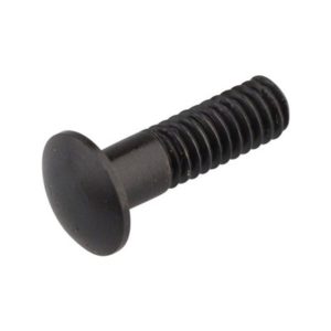Insercion magnetica para cabecillas radio ruedas Campagnolo Bullet/Bullet Ultra/Bora One/Bora Ultra