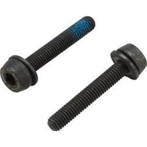 2 x tornillos Campagnolo 29 mm para montaje trasero 20-24 mm