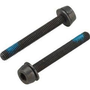 2 x tornillos Campagnolo 39 mm para montaje trasero 30-34 mm