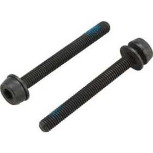 2 x tornillos Campagnolo 44 mm para montaje trasero 35-39 mm